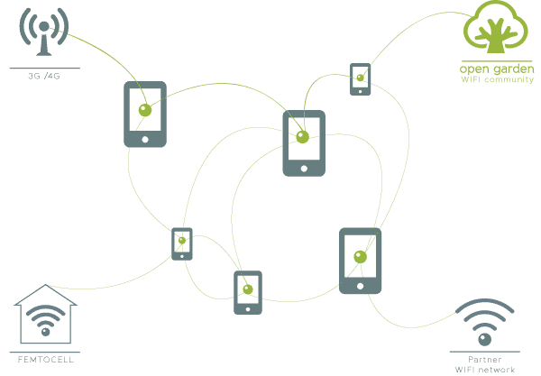 Red Mesh de Open Garden